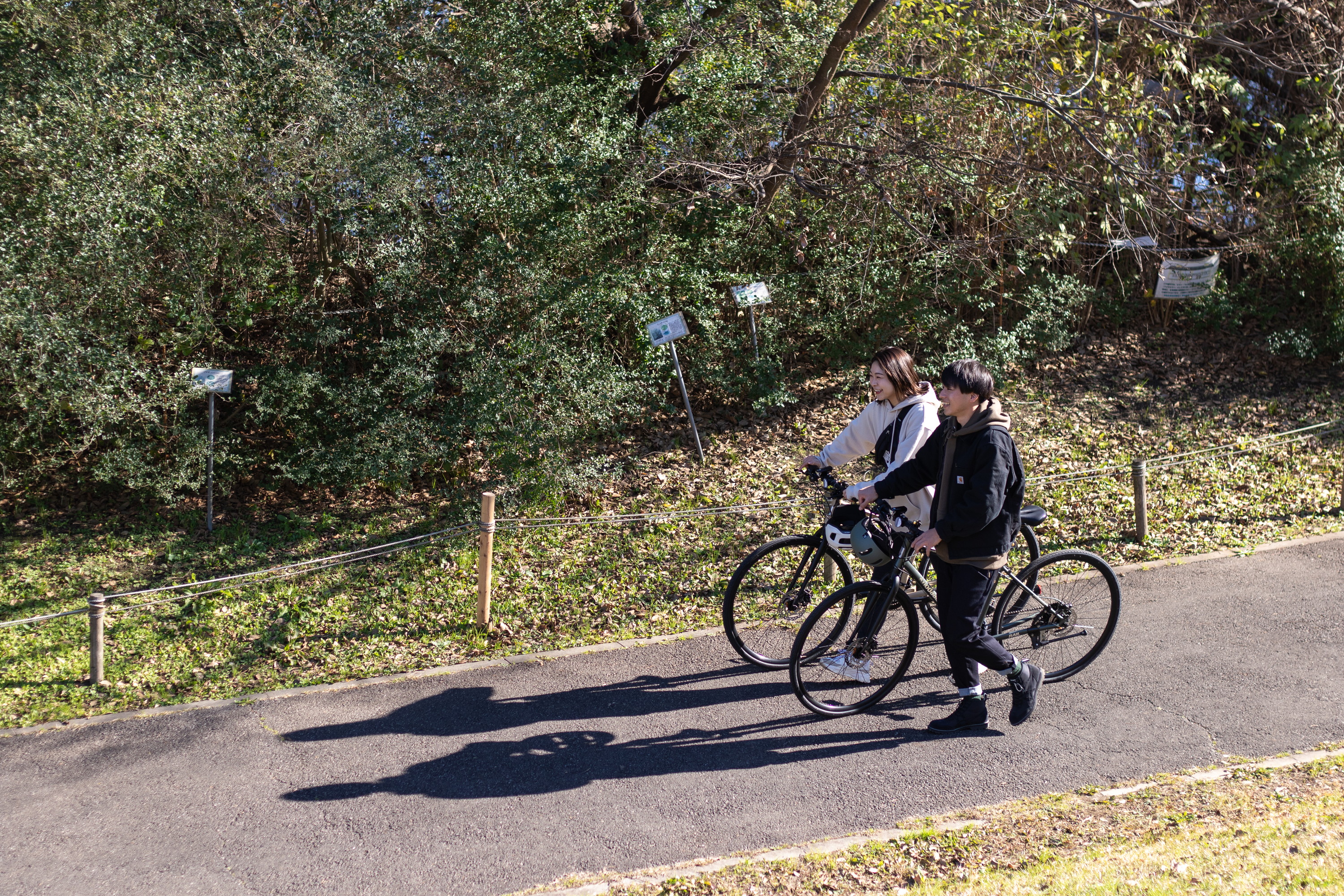 RAILイメージカット